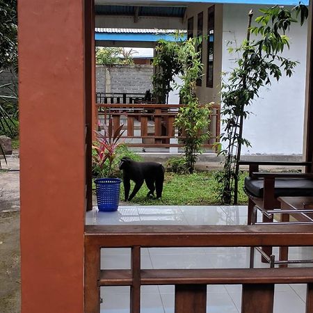 Tangkoko Macaca Hotell Rinondoran Exteriör bild