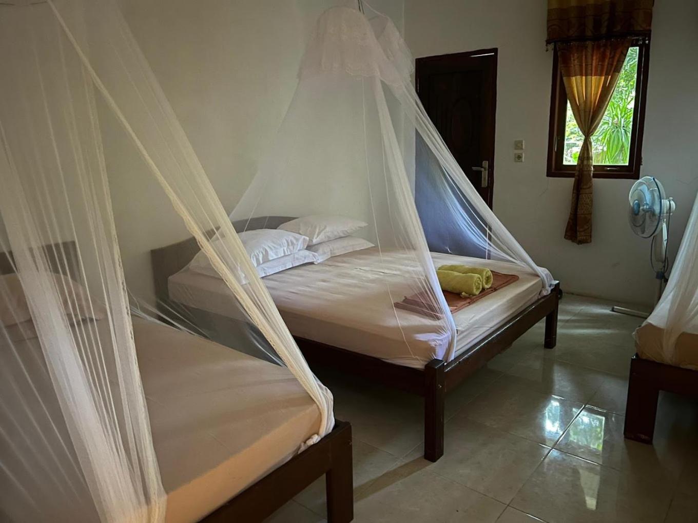Tangkoko Macaca Hotell Rinondoran Exteriör bild
