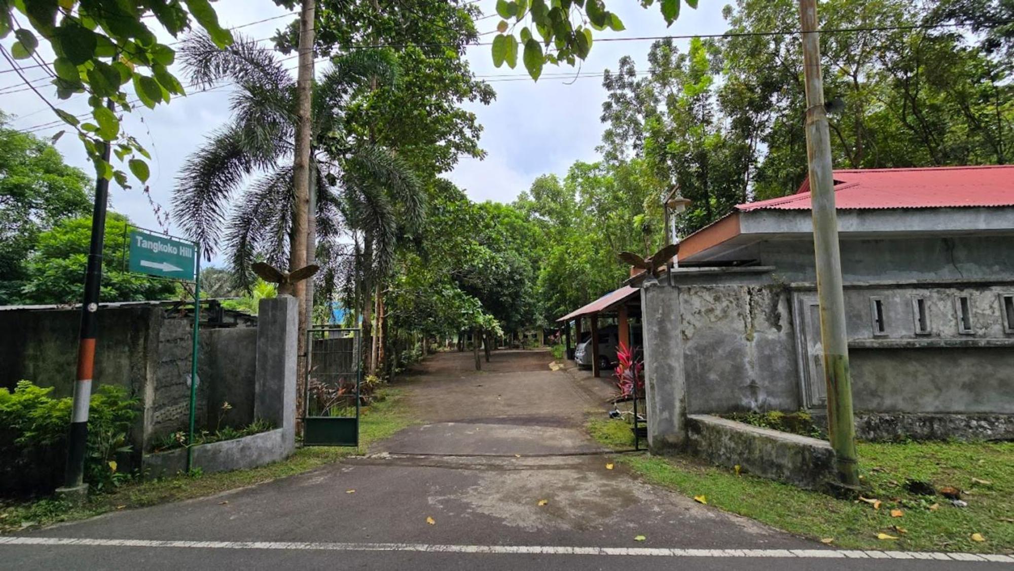 Tangkoko Macaca Hotell Rinondoran Exteriör bild