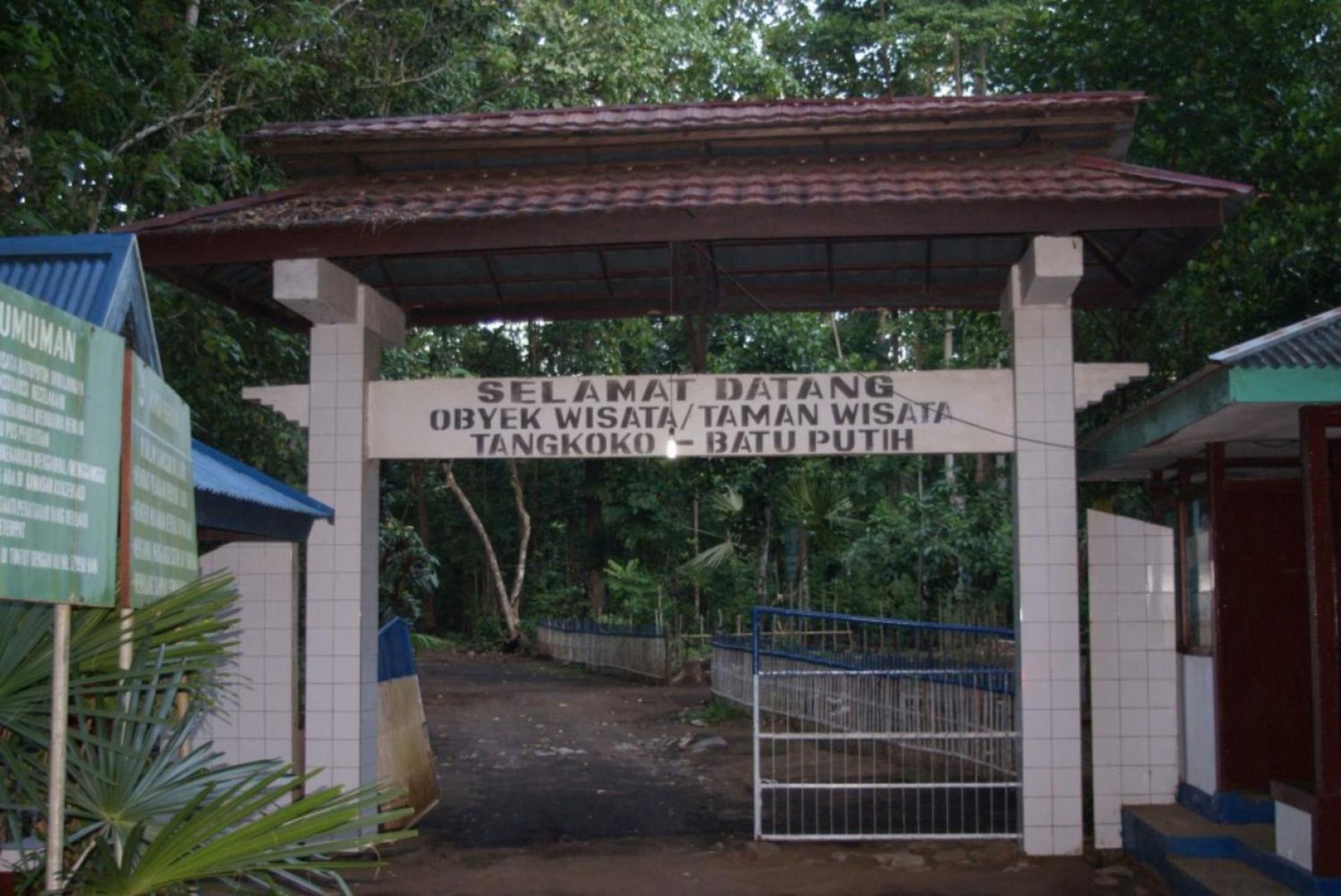 Tangkoko Macaca Hotell Rinondoran Exteriör bild