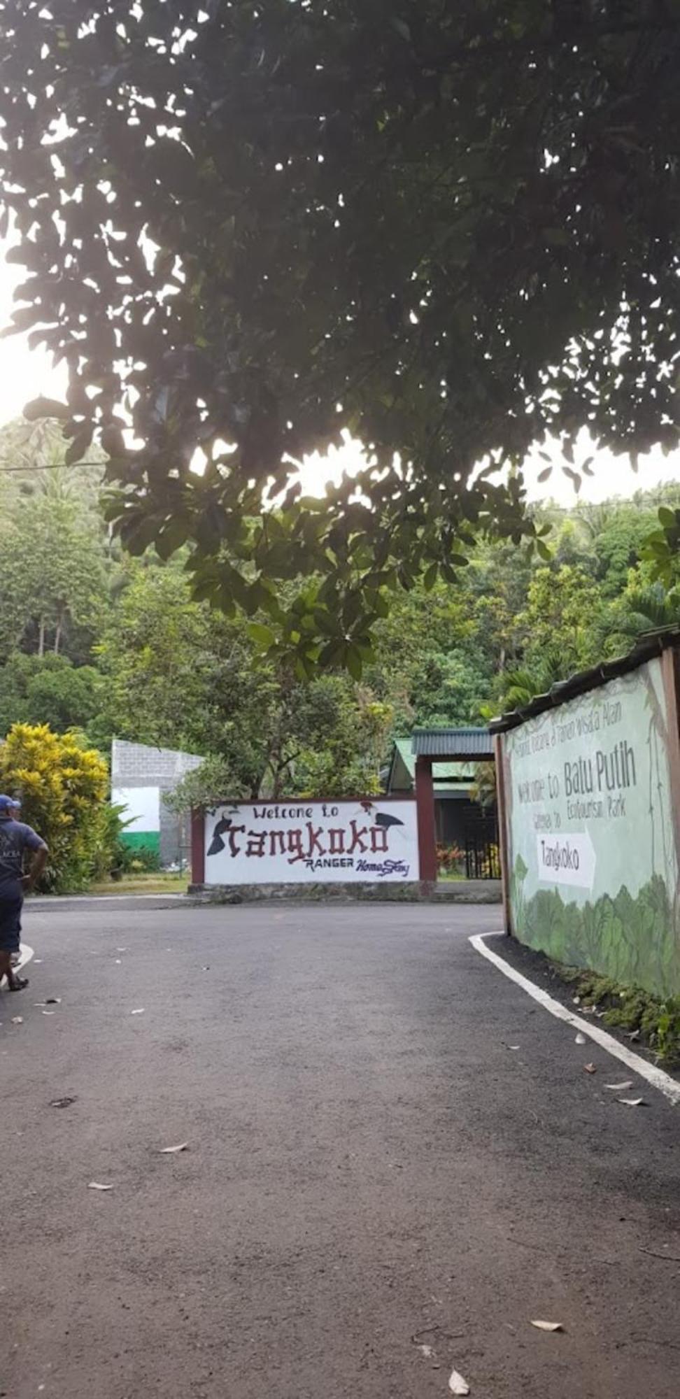 Tangkoko Macaca Hotell Rinondoran Exteriör bild