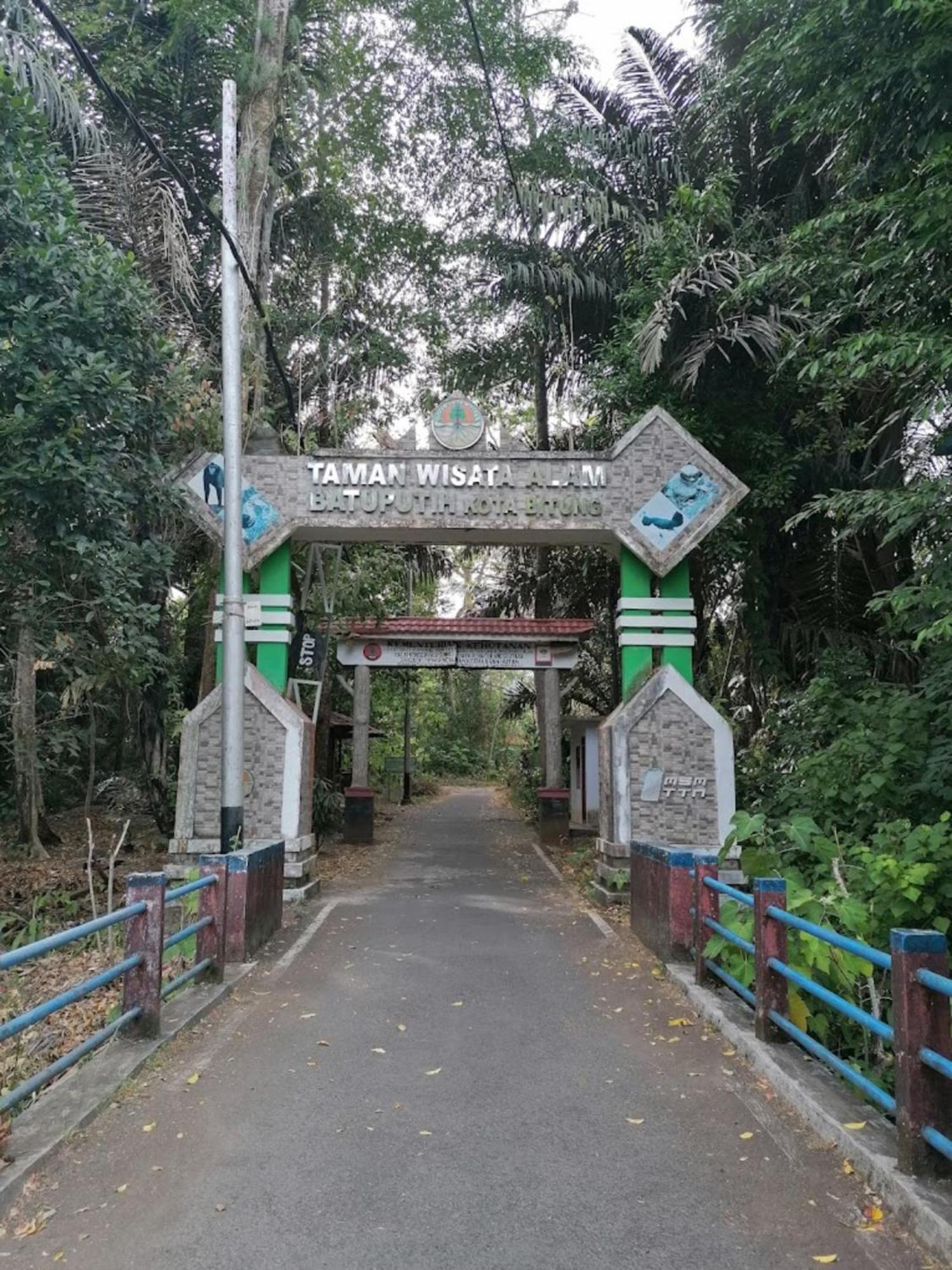 Tangkoko Macaca Hotell Rinondoran Exteriör bild